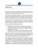 LA FUNCIÓN JUDICIAL EN EL JUICIO DE AMPARO