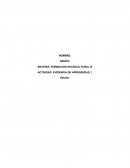 Formación Sociocultural 3 Evidencia