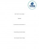 Características del administrador. Roles de los 4 gerentes