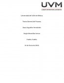 Teoría General del Proceso. Cuadro comparativo