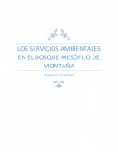 LOS SERVICIOS AMBIENTALES EN EL BOSQUE MESÒFILO DE MONTAÑA