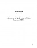 Determinantes del Tipo de Cambio en México