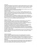 Informatica. Software de sistema