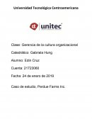 Caso de estudio, Perdue Farms Inc.