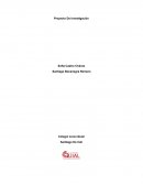 Proyecto De Investigación los movimientos juveniles