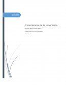 Importancia de la ingenieria