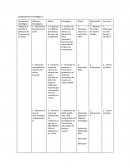 Lineamientos Estratégicos coherente con FODA
