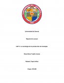 La sociología de la producción de mensajes