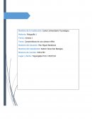 Caracteristicas de una cámara Réflex