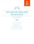 ESTUDIO DE MERCADO “DUMAPACH”