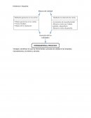Ventajas y beneficios de usar las Herramientas y procesos de calidad en las empresas manufactureras y de bienes y servicios