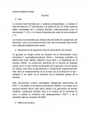 Insulina