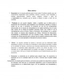 Estudio de mercado Sazonador vegetal