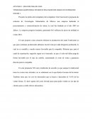 TECNOLOGIAS ALIMENTARIAS: ESTADOS DE RESULTADOS POR CANALES DE DISTRIBUCION