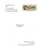 EJERCICIO SEMANA 1 SISTEMA MONETARIO INTERNACIONAL