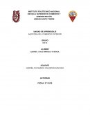 Auditoria por parte de la autoridad