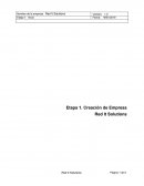 Creación de Empresa Red It Solutions