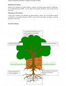 La Unidad Educativa COMIL