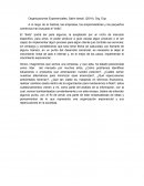 Organizaciones Exponenciales