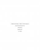 Ámbito de las Finanzas – Análisis y Control Financiero