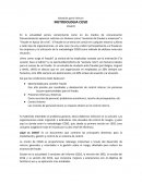 Ensayo: Metodologia COSO