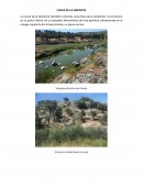 CUEVA DE LA SERPIENTE