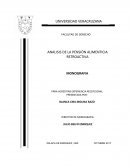 Analisis de la pension alimentica retroactiva
