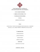 USO DE VIGAS Y VIGUETAS DE HORMIGON PRETENSADO DE LA COMPAÑÍA MAVISA S.A. EN LA OBRA TERMINAL TERRESTRE DE SANTA ELENA