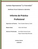 Informe de Práctica Profesional