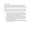 Auditoria.Extensión y profundidad