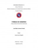 Trabajo profesional teóricamente fundamentado