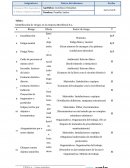 Identificación de riesgos en la empresa Mueblesol S.L.