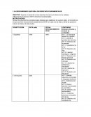 DESCUBRIENDO QUÉ SON LOS DERECHOS FUNDAMENTALES