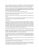 RESUMEN LEAN MANUFACTURING