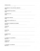 Derecho Penal--Resumen