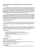 PRÁCTICA: GEOMETRÍA MOLECULAR: REPRESENTACIÓN ESPACIAL DE MOLÉCULAS ORGÁNICAS