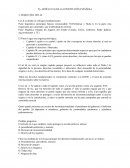 ARTÍCULO 29 DE LA CONSTITUCIÓN ESPAÑOLA