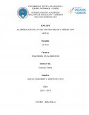 ELABORACION DE UN NECTAR DE FRESAS Y MORAS CON METOL