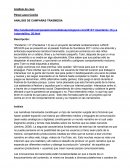 ANALISIS DE CAMPAÑAS TRANSMEDIA