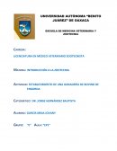 ESTABLECIMIENTO DE UNA GANADERÍA DE BOVINO DE ENGORDA