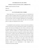 EL FUNCIONAMIENTO DEL CEREBRO