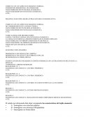 Ejemplo de informe de ecografias