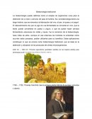 Biotecnología tradicional