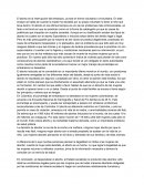 El aborto es la interrupción del embarazo