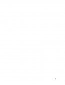 Proyecto en chimalhuacan para la mejora de perros de la calle