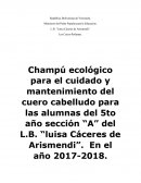 Champú ecológico para el cuidado y mantenimiento del cuero cabelludo
