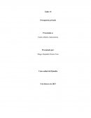 Taller presupuesto privado #1