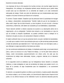 Derechos humanos laborales