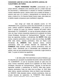 Demanda inicial usucapión. Página 1