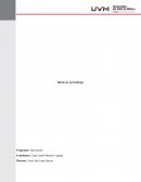 Diario De Aprendisaje. Programa: Innovación